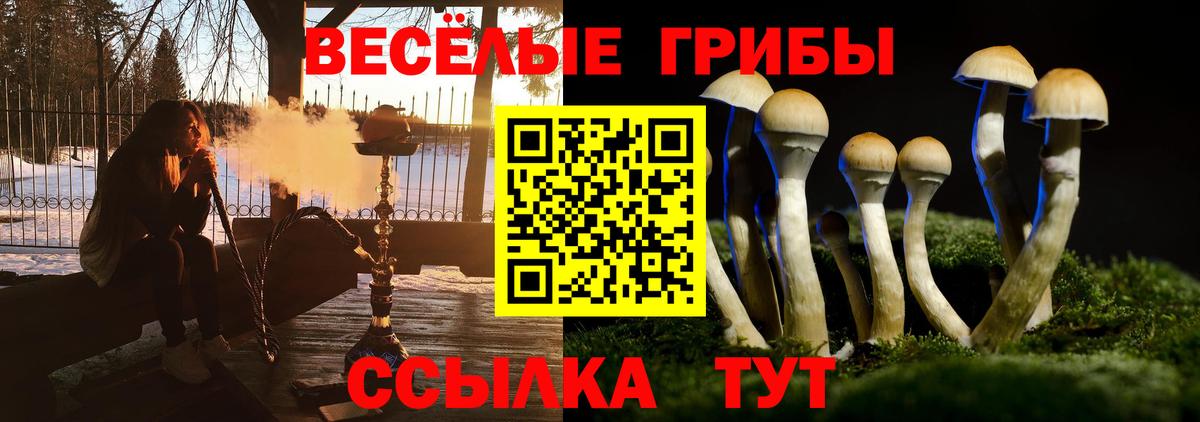 Псилоцибиновые грибы Magic Shrooms Пугачёв