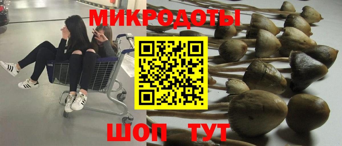 купить наркотики сайты  Вход с VPN  Пугачёв  Псилоцибиновые грибы ЛСД 